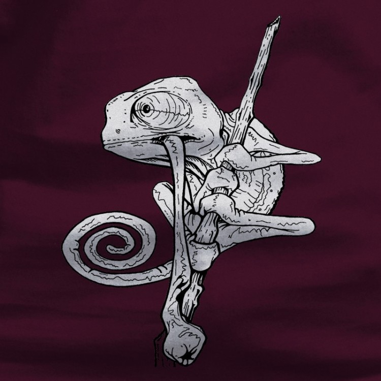 Camaleon